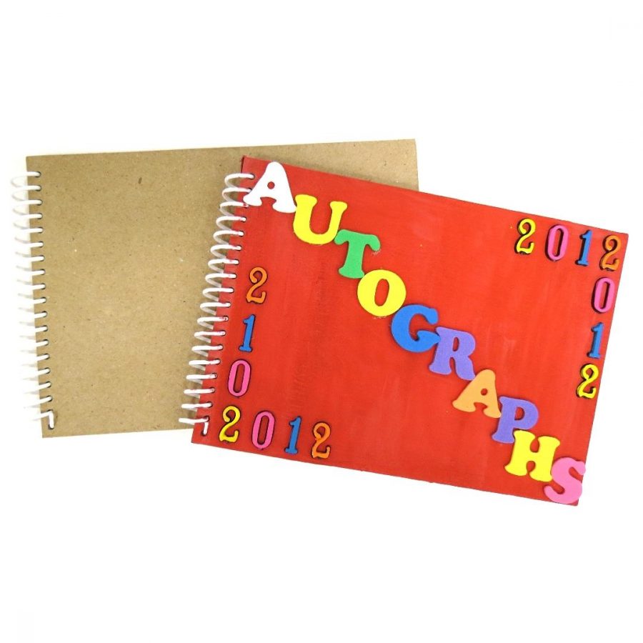 Papier Mache Craft