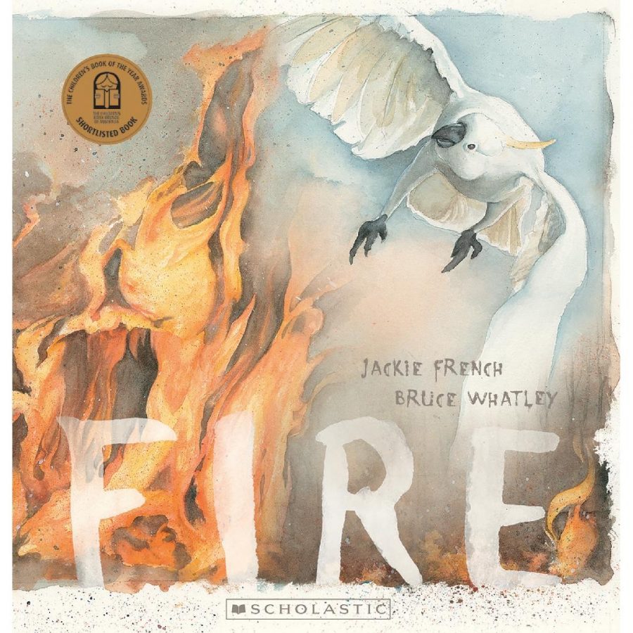 Fire Picture Book