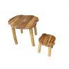 Treewood Table & Stool Set