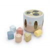 Dantoy Bio Shape Sorter