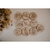 Australian Flora Matching Discs (Set of 10)