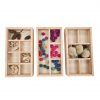Montessori Sorting Trays (3pcs) - Image 2