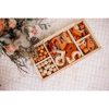 Montessori Sorting Trays (3pcs)