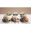 Dantoy Bio Train Set (2pcs) - Image 3