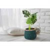 Handmade Seagrass Storage Basket - Mist - Image 2