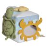 Ocean Organic Activity Cube