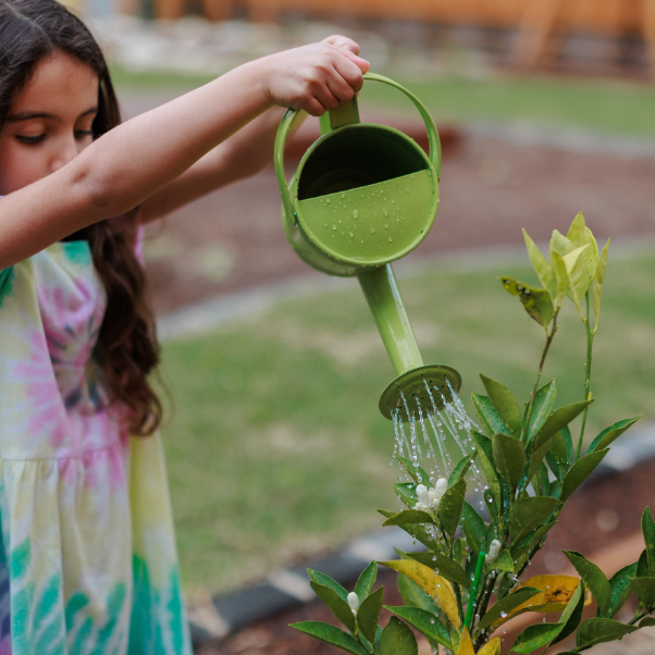 Gardening