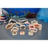 Wooden Sea Life Blocks (15pcs) - Image 4