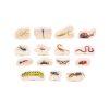 Wooden Minibeast Blocks (15pcs)