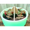 Sensory Mood Discovery Table and Jurassic Set