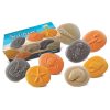 Discovery Stones - Seashore