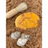 Discovery Stones - Seashore - Image 3