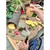 Discovery Stones - Bugs - Image 2
