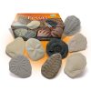 Discovery Stones - Fossils