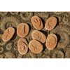 Discovery Stones - Dinosaur Footprints - Image 2