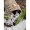 Play Hollow Log - Image 5