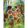 Forest Scenery Stones - Image 3