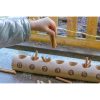 Natural Counting Log - Image 4